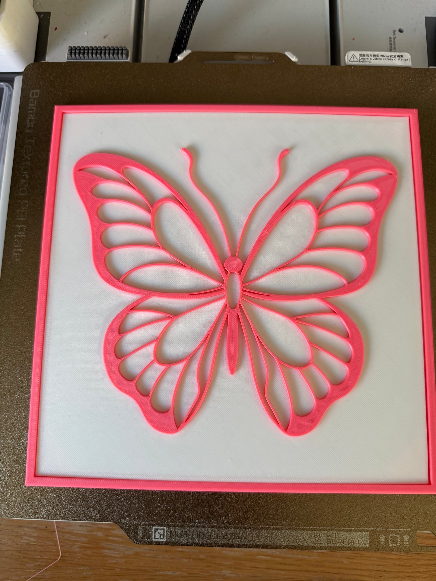 Butterfly Wall Art